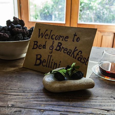 Bellini Apartment 卡塔尼亚 外观 照片